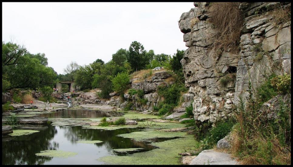 Буки з panoramio.com - Буки