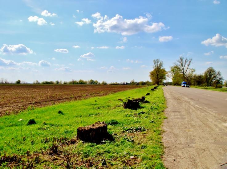 Стебне з panoramio.com - Стебне