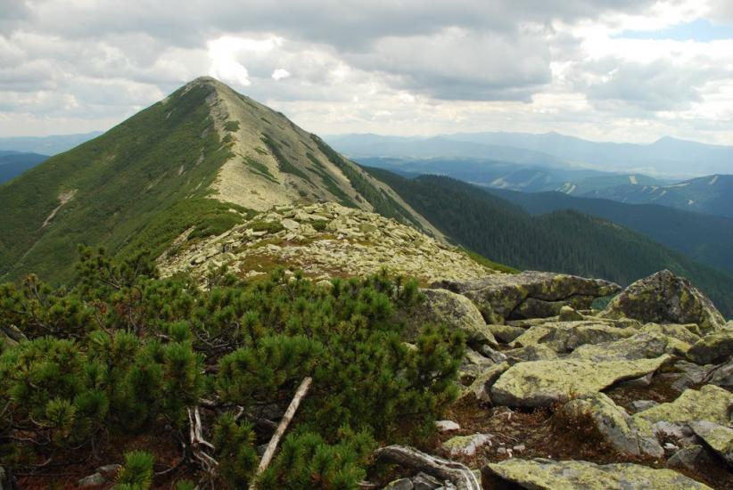 Черник з panoramio.com - Черник