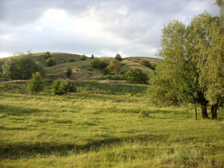 Заможнє з panoramio.com - Заможнє