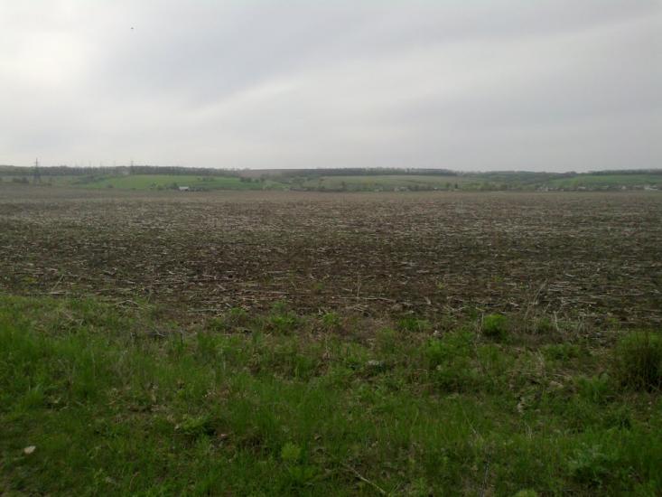 Платонівка з panoramio.com - Платоновка