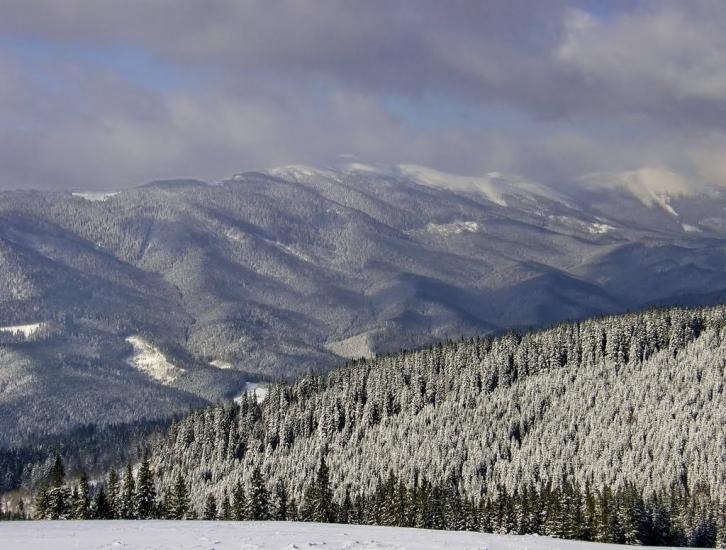 Стебний з panoramio.com - Стебний