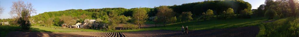 Іванківці з panoramio.com - Иванковцы