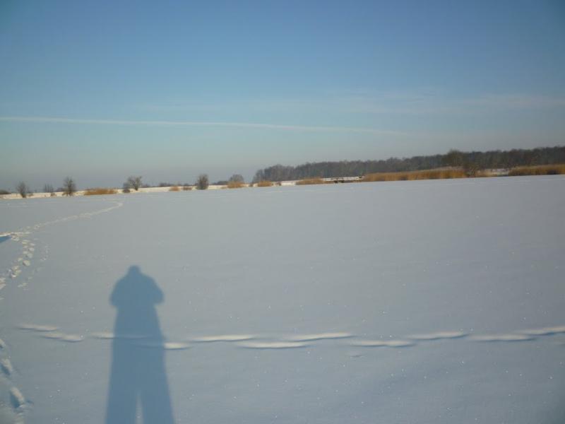 П'яновичі з panoramio.com - П'яновичі