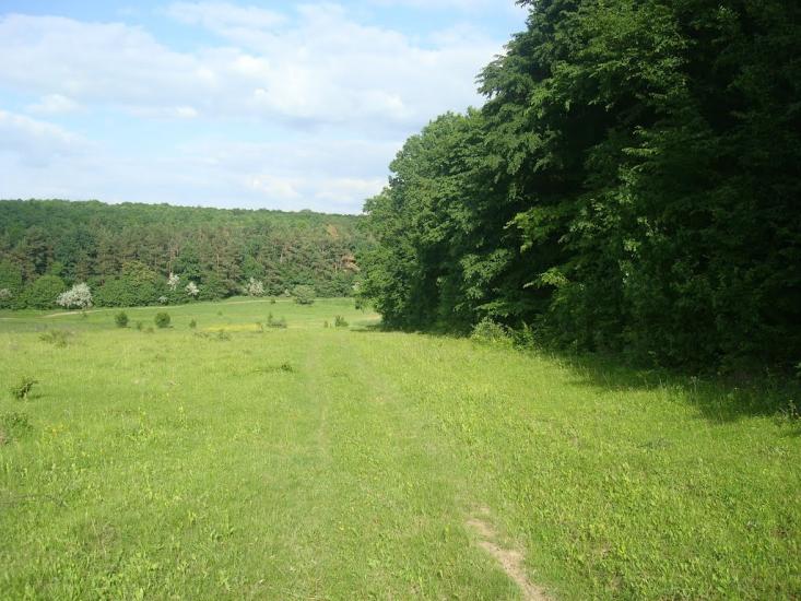 Мала Стружка з panoramio.com - Мала Стружка