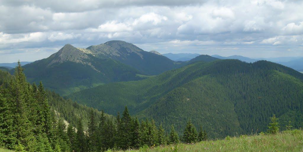 Черник з panoramio.com - Черник