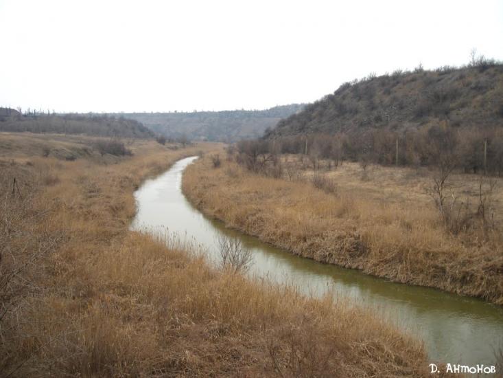 Степне з panoramio.com - Степное