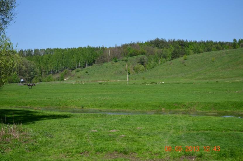 Нова Слобода з panoramio.com - Новая Слобода