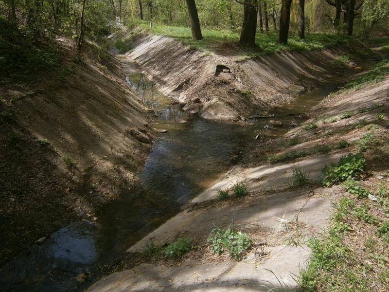 Полонка з panoramio.com - Полонка