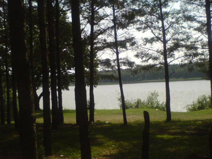 Рудня-Городищенська з panoramio.com - Рудня-Городищенська