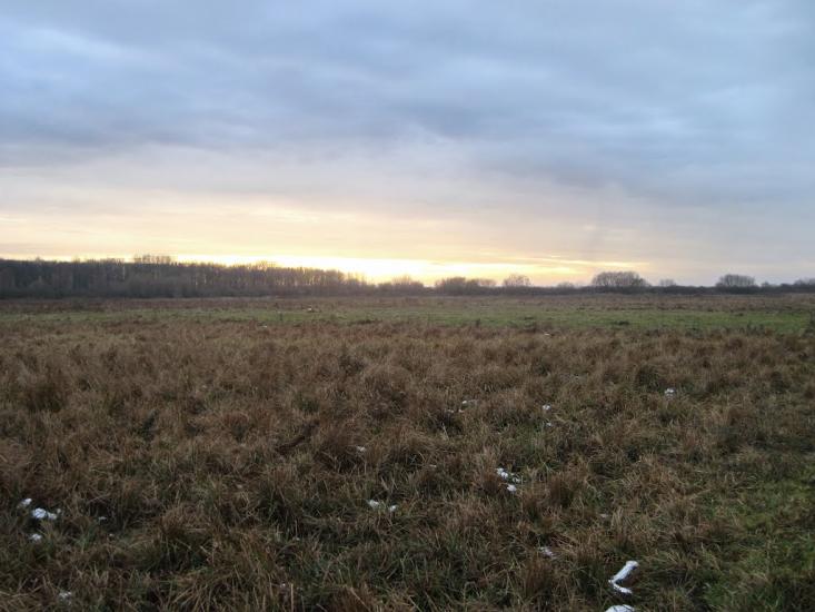 Велика Дівиця з panoramio.com - Велика Дівиця