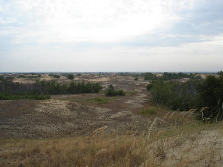 Подо-Калинівка з panoramio.com - Подо-Калинівка