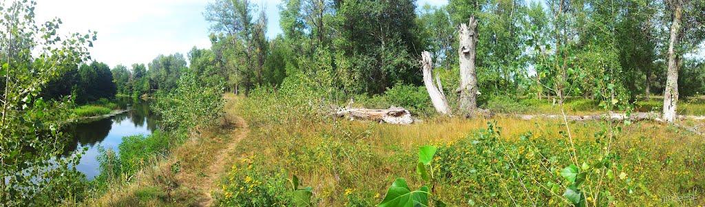 Глоди з panoramio.com - Глоды