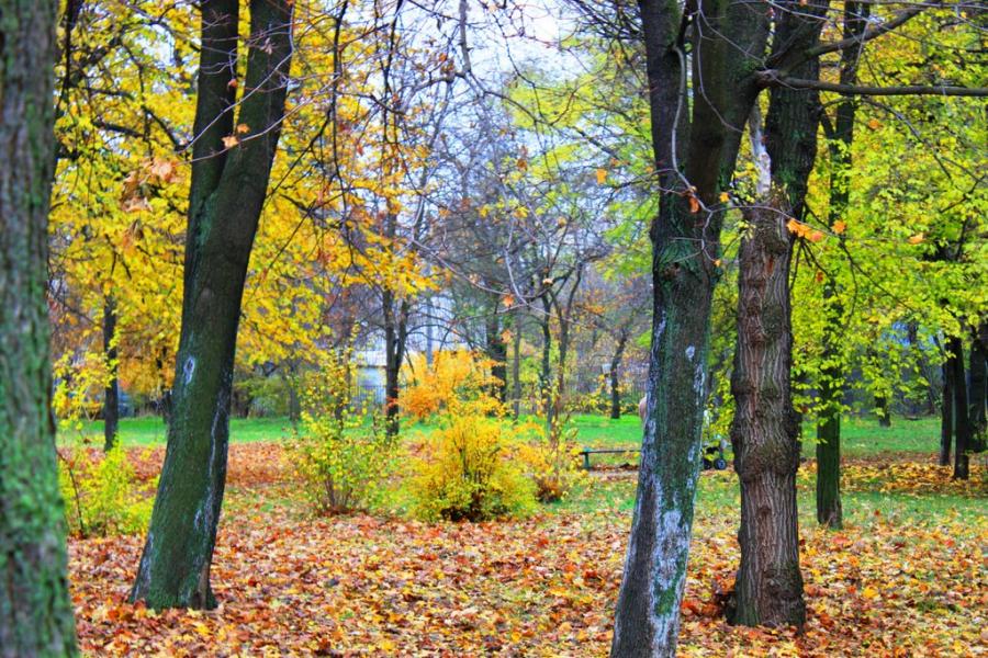 Володимирівське з panoramio.com - Владимирское