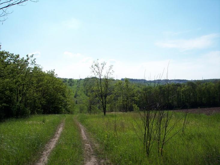 Сурсько-Литовське з panoramio.com - Сурско-Литовское