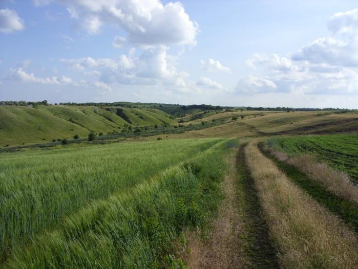 Заможнє з panoramio.com - Заможнє