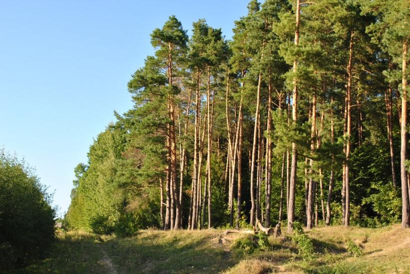 Хмільник з panoramio.com - Хмельник