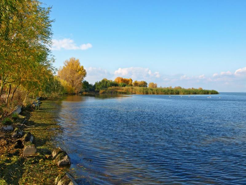 Сухолужжя з panoramio.com - Сухолужжя