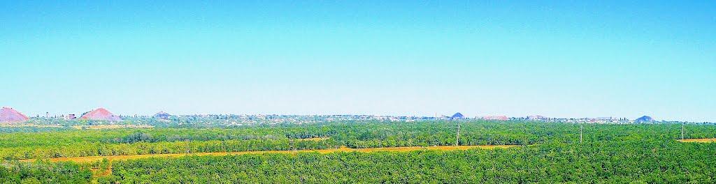 Княгинівка з panoramio.com - Княгиневка