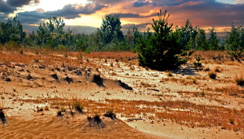 Знаменівка з panoramio.com - Znamenivka
