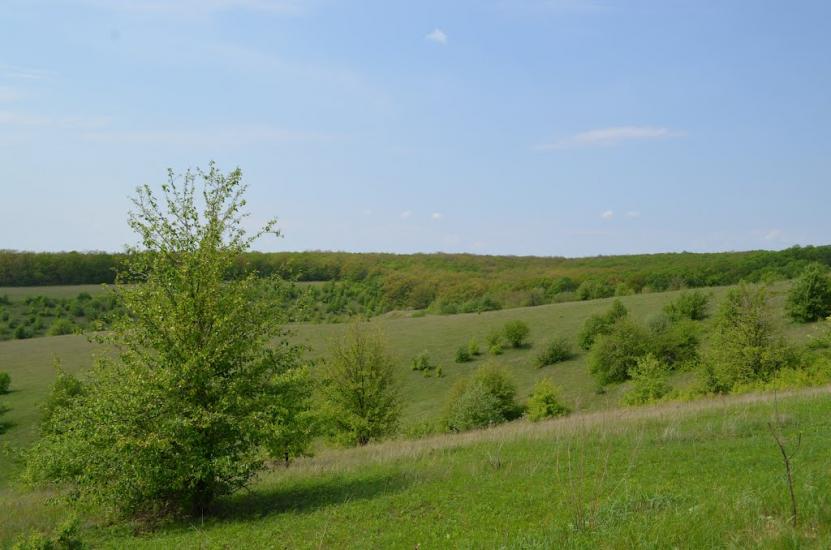 Замірці з panoramio.com - Замірці