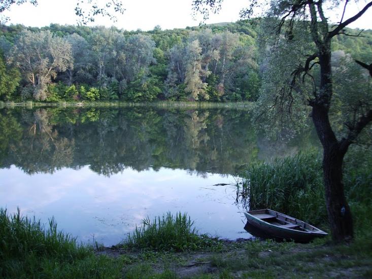 Ярова з panoramio.com - Ярова