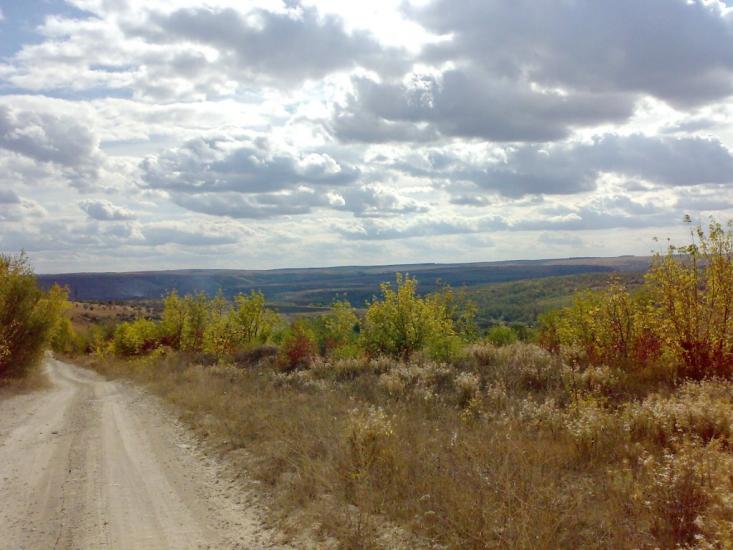 Юрківці з panoramio.com - Юрковцы