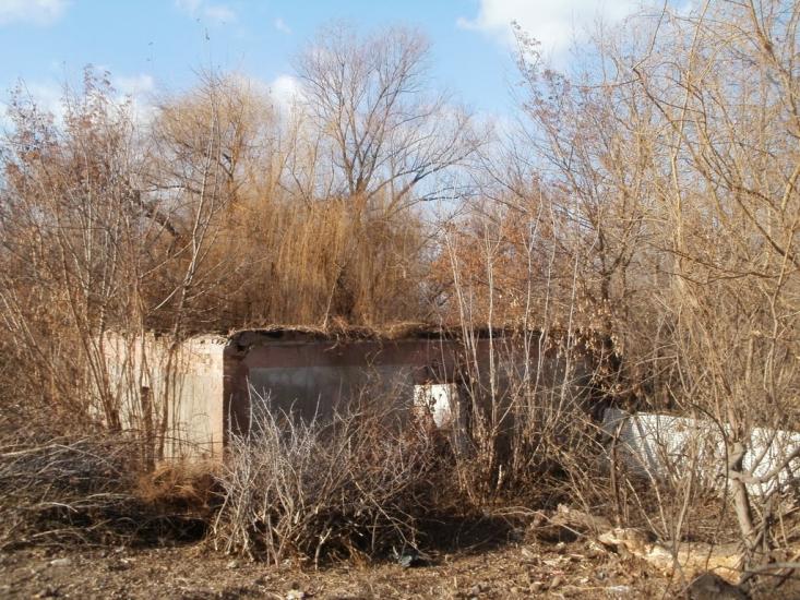 Куна з panoramio.com - Куна