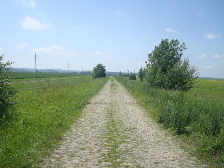 Черепова з panoramio.com - Черепова