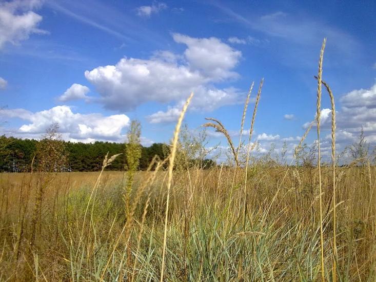 Саги з panoramio.com - Sagy