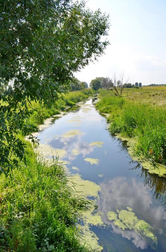 Мала Стариця з panoramio.com - Мала Стариця