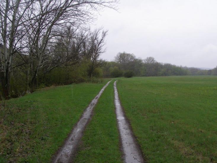 Крива Лука з panoramio.com - Крива Лука