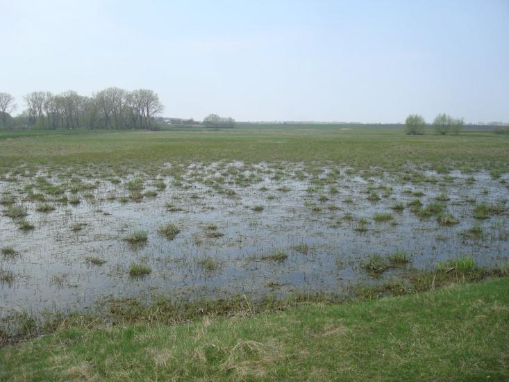 Малий Чернятин з panoramio.com - Malyy Chernyatyn