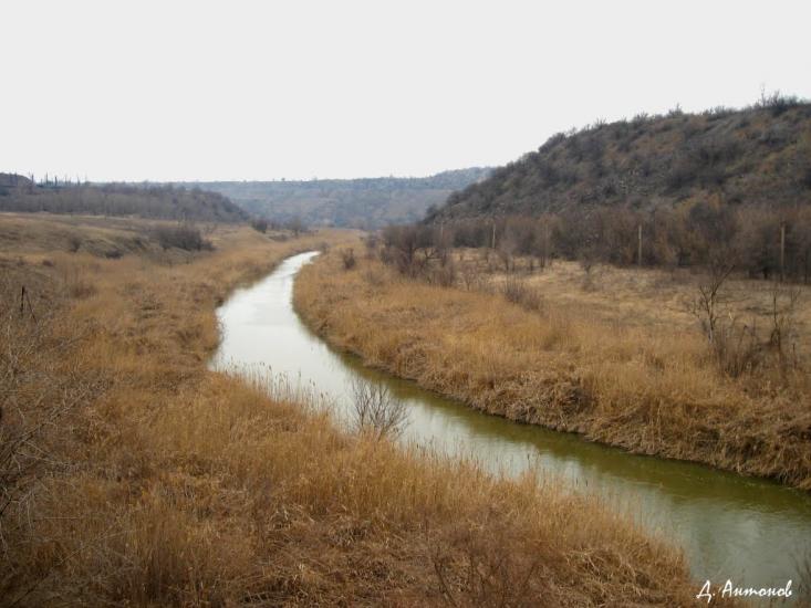 Степне з panoramio.com - Степное
