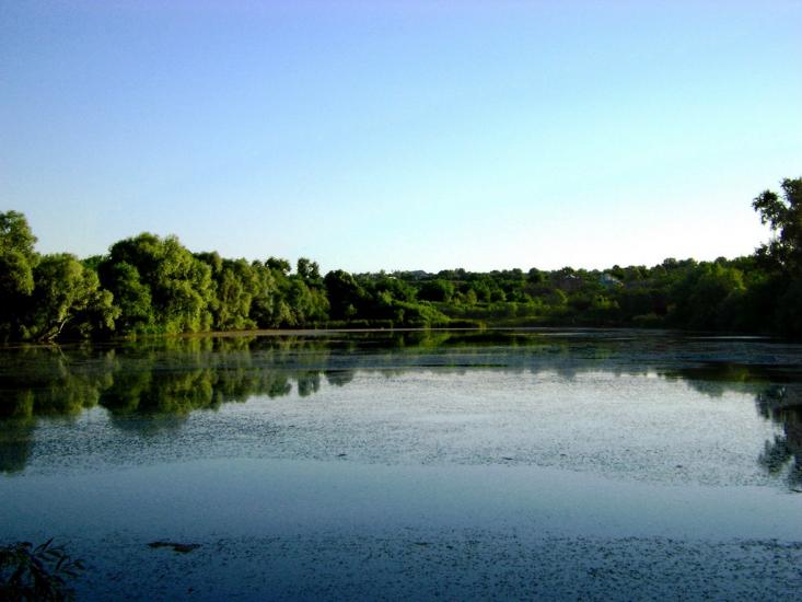 Коротич з panoramio.com - Коротыч