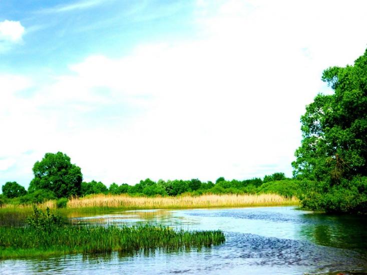 Журавка з panoramio.com - Журавка