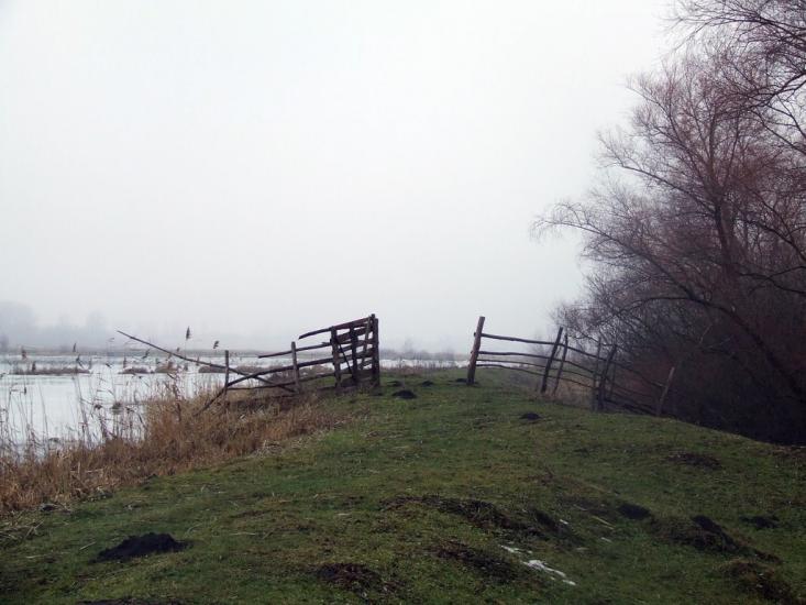 Оришківці з panoramio.com - Оришківці