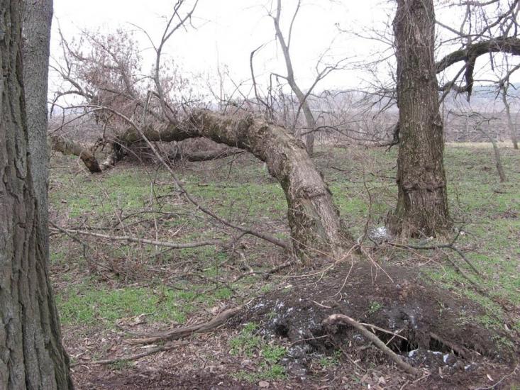 Широке з panoramio.com - Shyroke