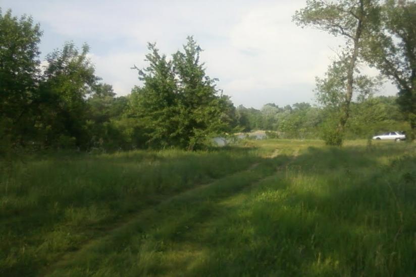 Самусіївка з panoramio.com - Самусіївка