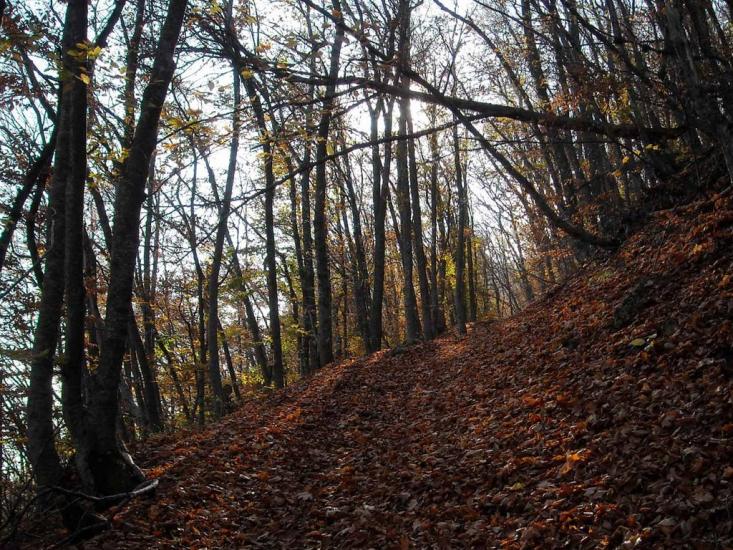 Малий Маяк з panoramio.com - Malyy Mayak