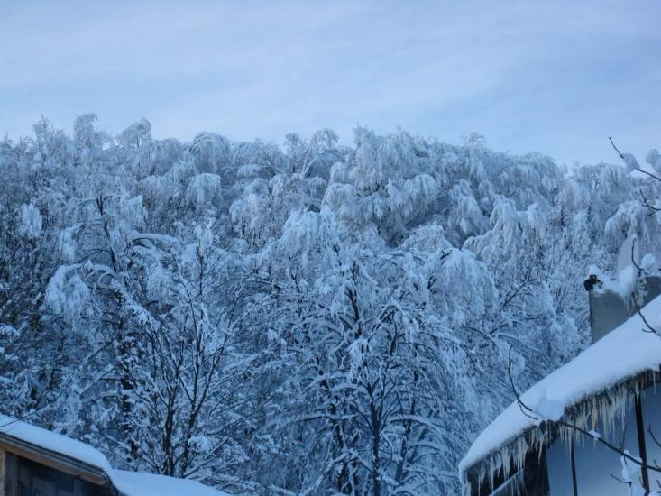 Дубове з panoramio.com - Дубове