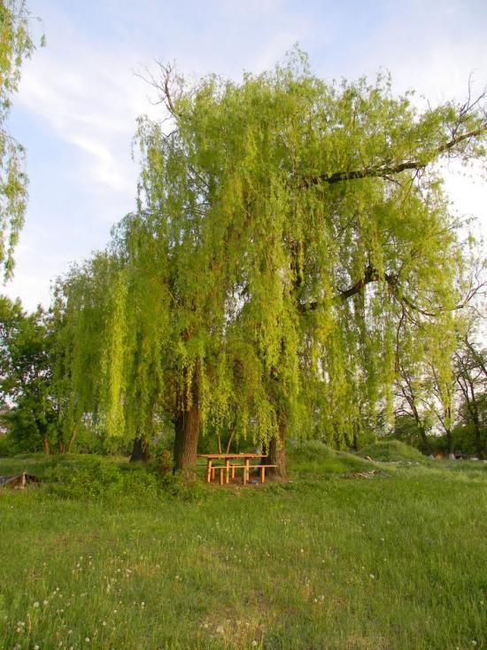 Бірки з panoramio.com - Бирки