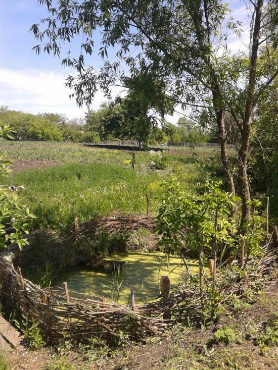 Білий Камінь з panoramio.com - Білий Камінь