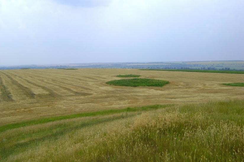 Новий Стародуб з panoramio.com - Новый Стародуб