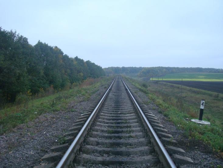 Волудринці з panoramio.com - Voludryntsi
