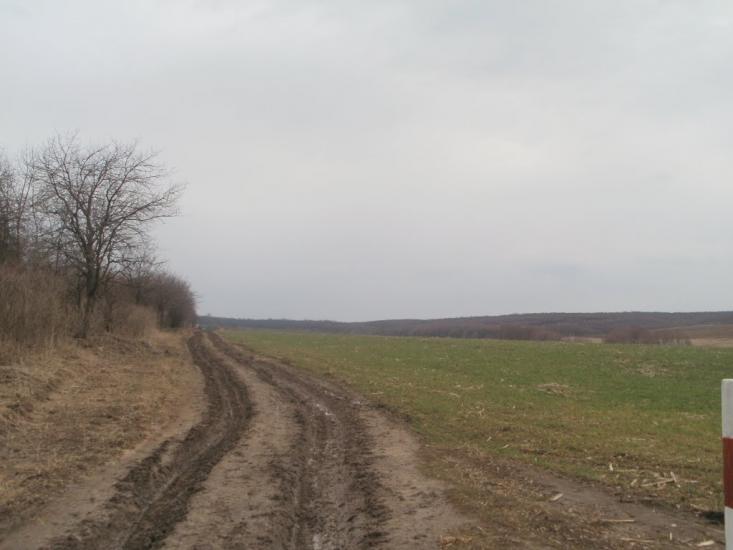 Кисляк з panoramio.com - Кисляк