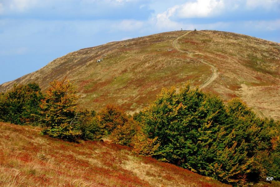 Потік з panoramio.com - Поток
