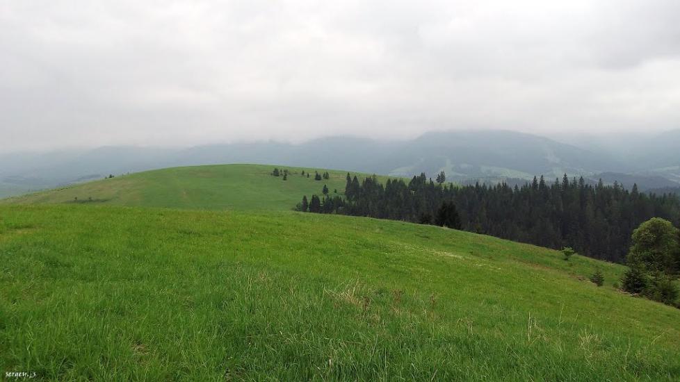Пилипець з panoramio.com - Пилипец