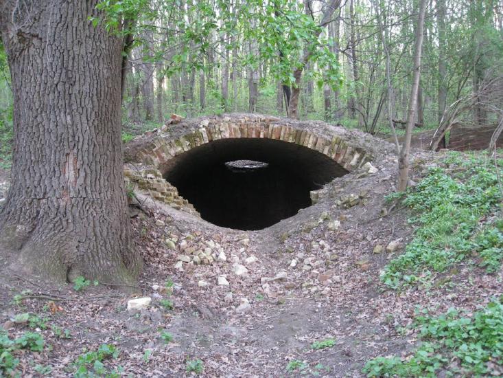 Зайченки з panoramio.com - Зайченки