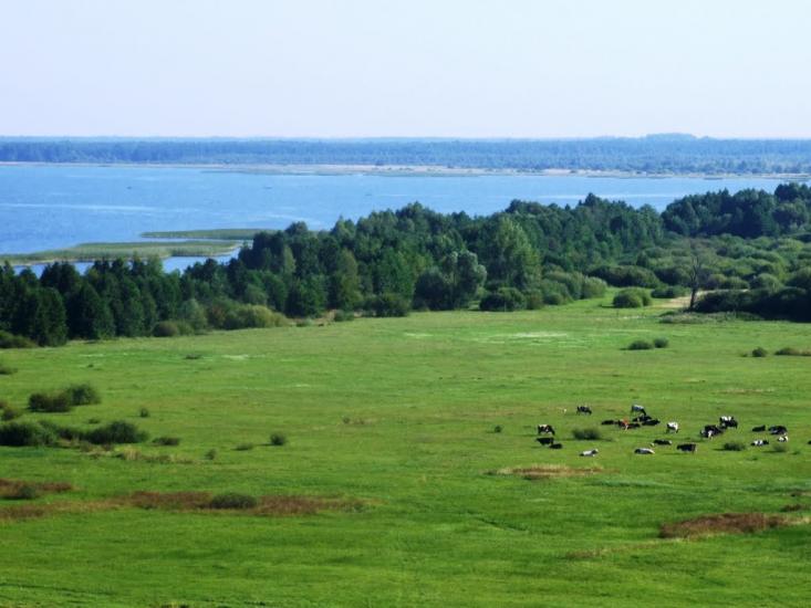 Пулемець з panoramio.com - Пулемець